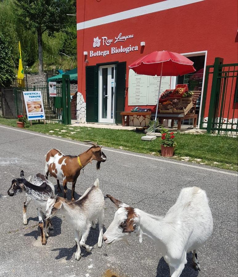 Agriturismo Rosso Lampone Cerreto Laziale Bagian luar foto