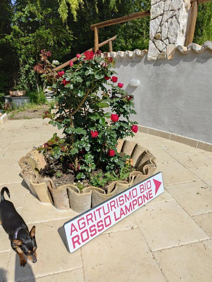 Agriturismo Rosso Lampone Cerreto Laziale Bagian luar foto
